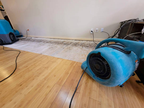 Professional Structural Drying technician working in Wiley, GA